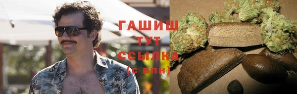 сатива Арсеньев