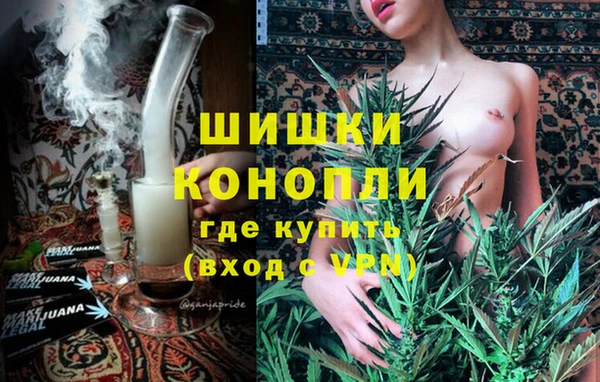 сатива Арсеньев