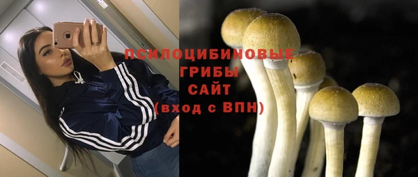 сатива Арсеньев