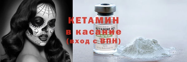 сатива Арсеньев