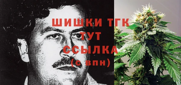 трава Аркадак