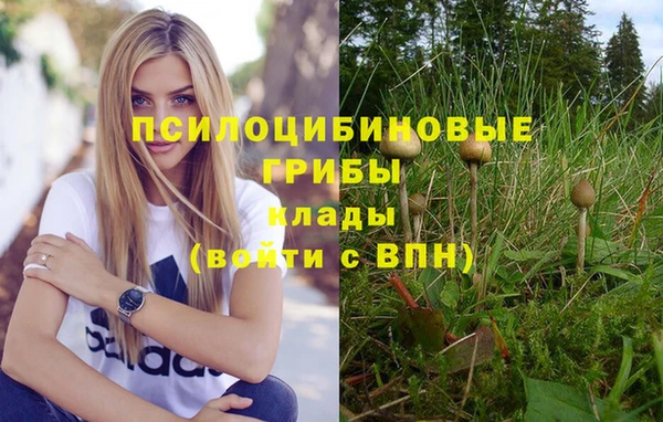дурь Армянск