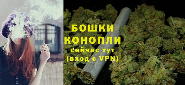 сатива Арсеньев