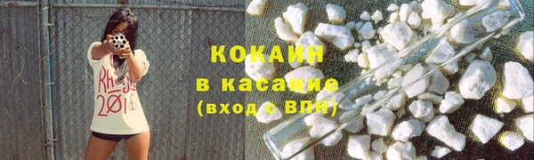 трава Аркадак