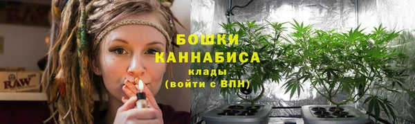 трава Аркадак