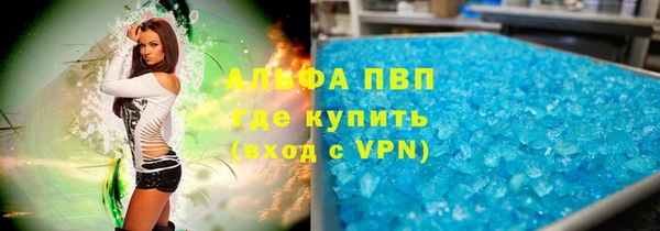 сатива Арсеньев