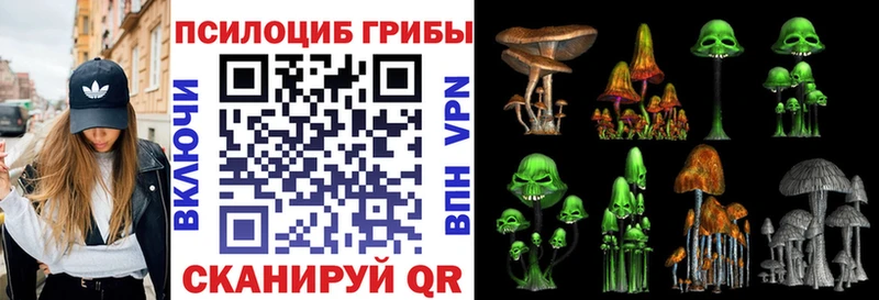 OMG онион  Шелехов  Псилоцибиновые грибы прущие грибы 